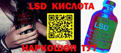 СК Кандалакша
