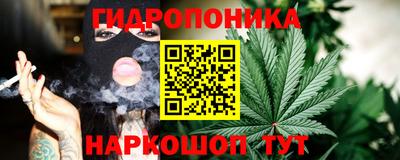 гашик Канаш