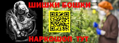 гашик Канаш