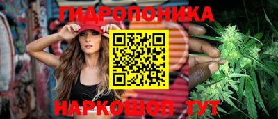 СК Кандалакша