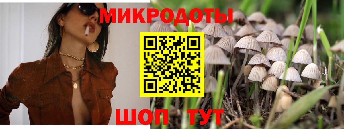 Галлюциногенные грибы GOLDEN TEACHER Кольчугино